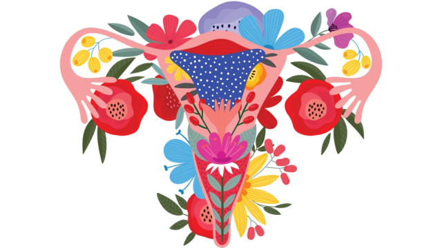 Ilustrasi organ intim wanita. Foto: Shutterstock