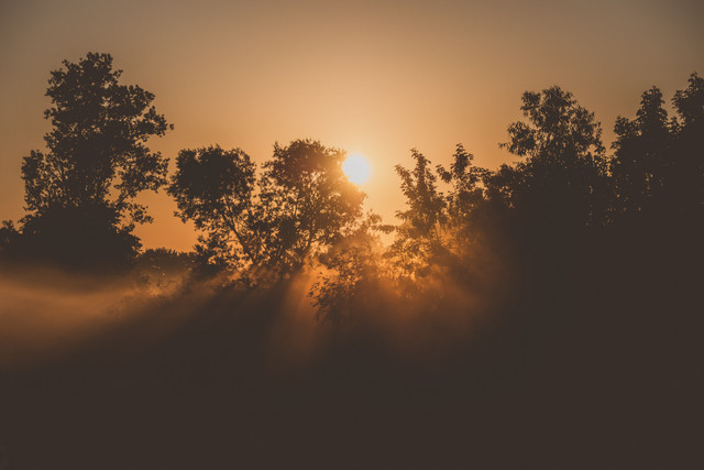 Ilustrasi: Cahaya matahari. Foto: (Pexels.com)