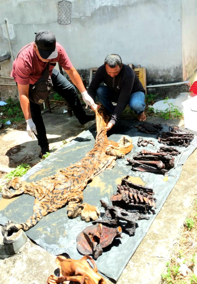 Barang bukti yang disita petugas. Dok. Balai Gakkum KLHK Sumatera