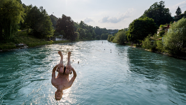Seorang pria melompat ke area sungai Aare, Swiss pada 21 Juni 2017. Foto: Fabrice Coffrini/AFP