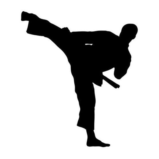 Ilustrasi Pencak Silat (Sumber: Saya ambil dari telephone genggam pribadi)