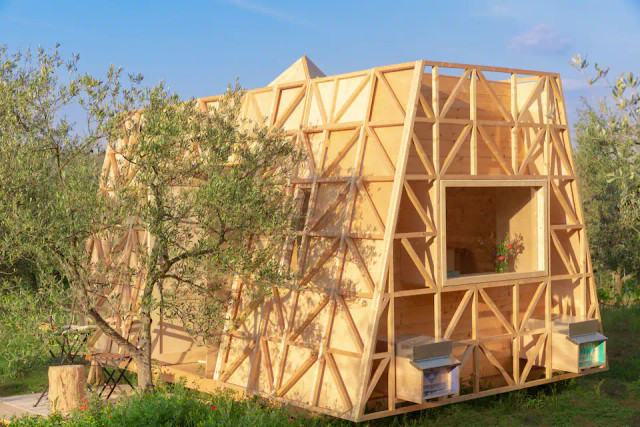Penginapan lebah. (Foto: L'apiario Wonder Bee & Bee/Airbnb)