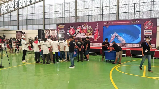 Lomba ikan koi Solo Koi Show 2022 di Sport Hall Arena Terminal Tipe A Tirtonadi, Solo, Sabtu (28/05/2022). FOTO: Fernando Fitusia