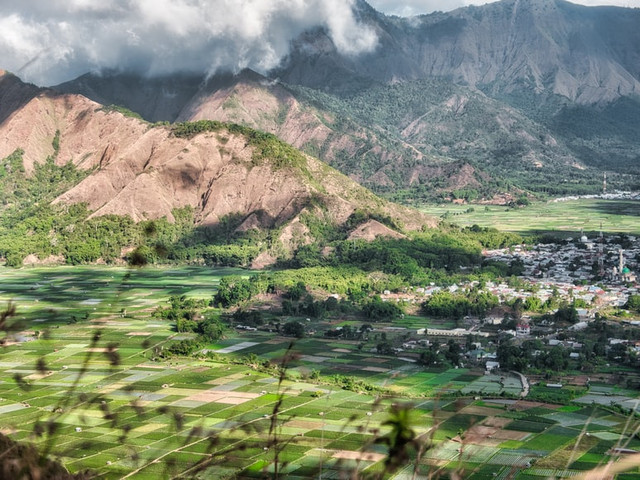 Wisata Alam Bukit Lawang Sumatera Utara, https://unsplash.com/@fnhaven
