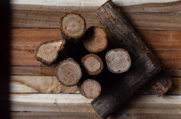 Ilustrasi kayu bajakah. Foto: Unsplash