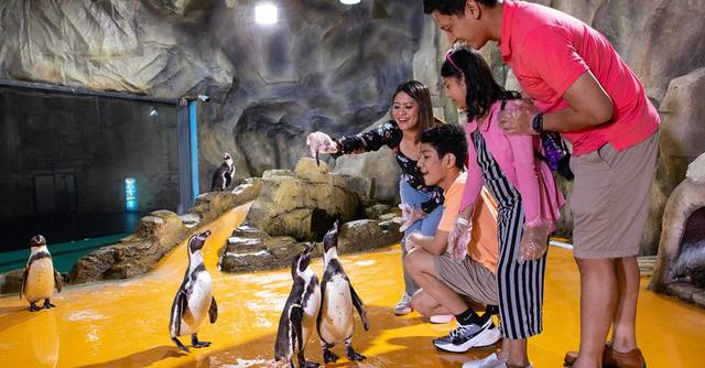 5 Tempat Liburan Keluarga di Ancol yang Seru Untuk Wisata Akhir Pekan