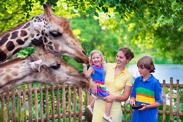 Berapa Harga Tiket Masuk Ragunan Zoo?, Foto: Unsplash.