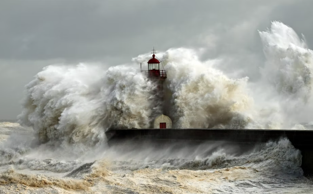 Ilustrasi cara menyelamatkan diri dari tsunami. Foto: unsplash.com/lfcsfilipesousa
