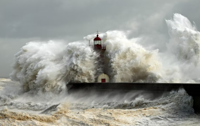 Ilustrasi bagaimana cara menyelamatkan diri ketika terjadi tsunami. Foto: unsplash.com/lfcsfilipesousa