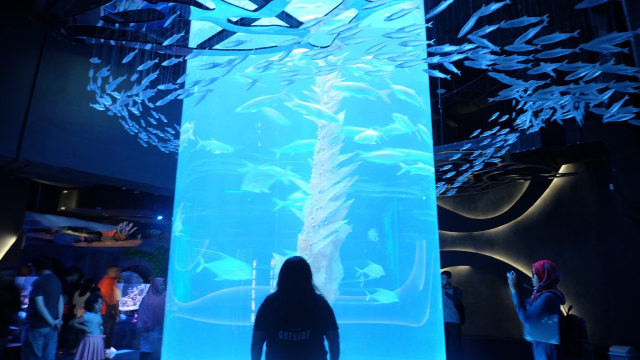  Cara Beli Tiket Jakarta Aquarium Terbaru 2022, Foto: Kumparan