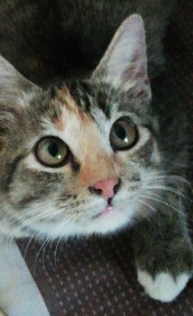 Sumber gambar: Dokumen Pribadi