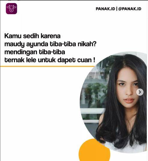 Gaya promosi panak.id di instagram - IST