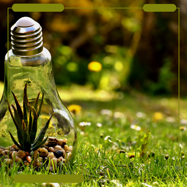 foto dari galer pribadi.