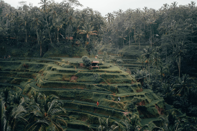 Tiket Masuk Kampung Sabin Cirebon, Foto: Unsplash/Radoslav Bali