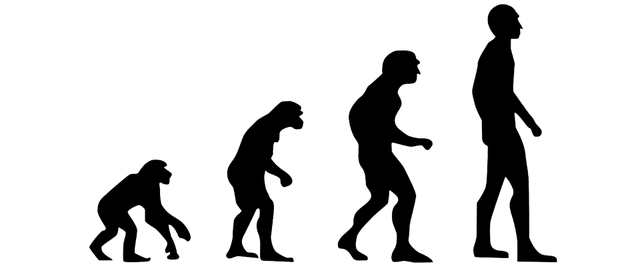 illustrasi teori evolusi. Sumber : https://pixabay.com