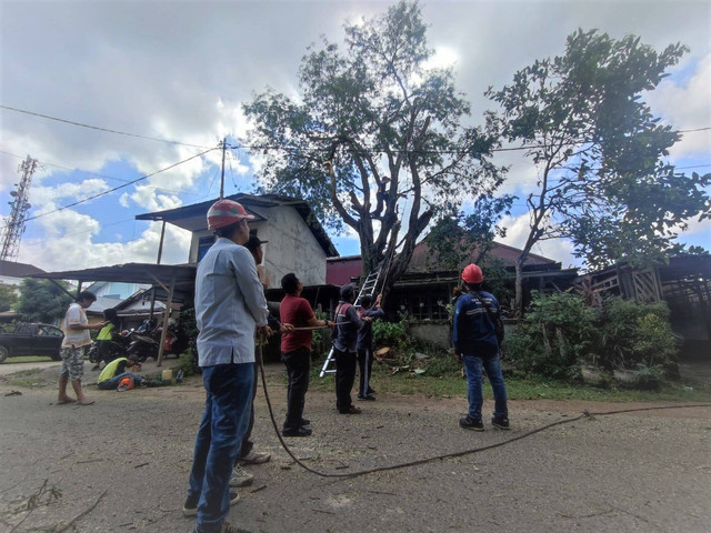 Petugas PLN melakukan pemeliharaan jaringan. Foto: Dok. PLN Ketapang