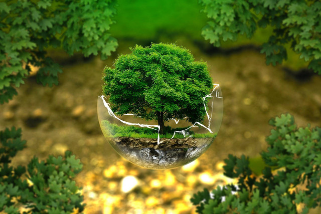 Sumber: Gambar oleh ejaugsburg dari Pixabay