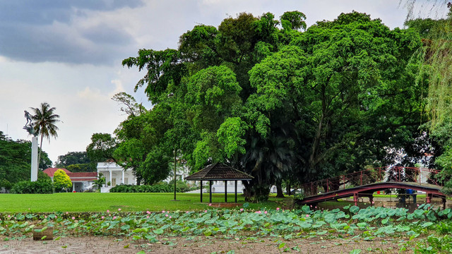 Harga Sewa Skuter di Kebun Raya Bogor, Foto: unsplash/Elvira Syamsir