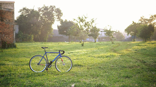 Harga sewa sepeda di kebun raya bogor, Photo by Arif Maulana/Unsplash	