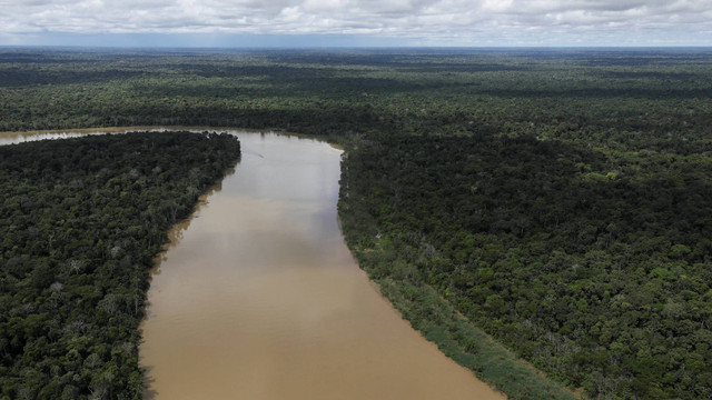 Ilustrasi Amazon Peru. Foto: Bruno Kelly/REUTERS