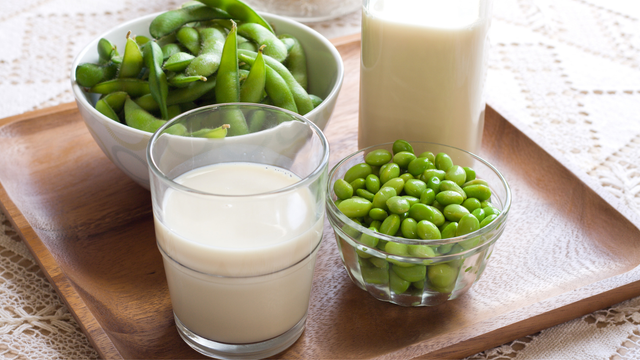 Susu kedelai jenis edamame. Source : https://www.canva.com/design/DAFDSGSJTQk/iNHh8-LqAyLKFkivvuAT-g/view?utm_content=DAFDSGSJTQk&utm_campaign=share_your_design&utm_medium=link&utm_source=shareyourdesignpanel
