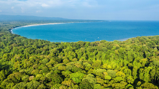 Foto udara bentang alam Taman Nasional Ujung Kulon, Banten. Foto: Muhammad Adimaja/Antara Foto