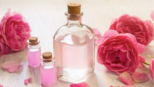 Ilustrasi air mawar. Foto: Shutterstock