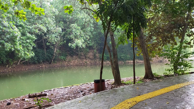 Danau Hutan Kota Srengseng. Sumber : dokumentasi pribadi