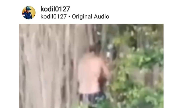 Bule yang viral di media sosial sedang memanjat pohon sakral - IST