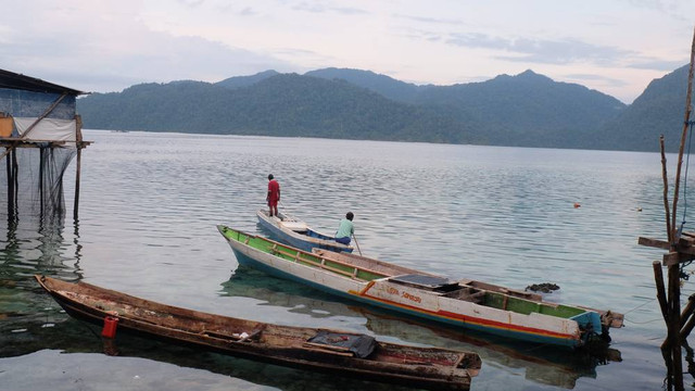 Ilustrasi Daerah Wallacea. Foto: Shutter Stock