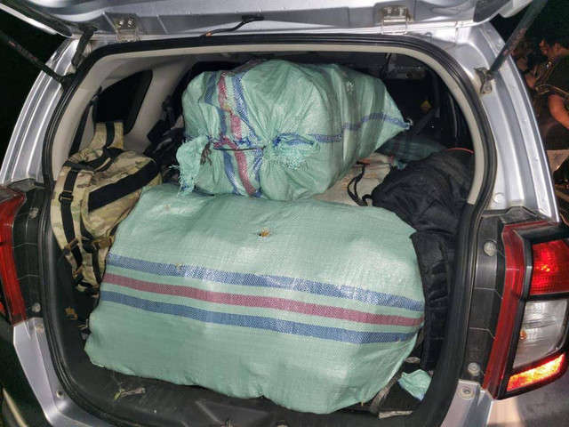 Polres Metro Jakarta Barat gagalkan peredaran ratusan kilogram ganja.  Foto: Dok Polres Metro Jakarta Barat