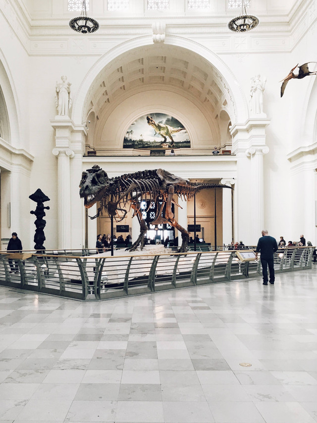 Museum untuk Anak di Jakarta, Foto: Unsplash/Chris Nguyen.