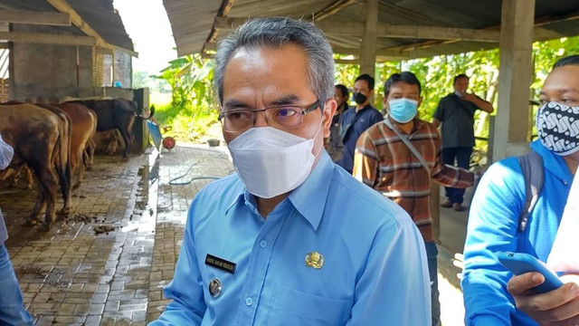 Bupati Bantul Abdul Halim Muslih saat mengecek sapi di Segoroyoso, Pleret, Kabupaten Bantul, Selasa (14/6/2022). Foto: Arfiansyah Panji Purnandaru/kumparan