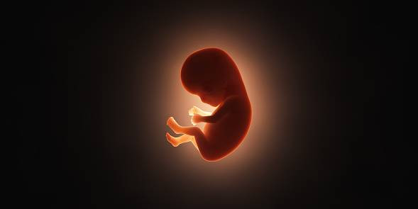 Ilustrasi 23 minggu itu berapa bulan (Sumber: Unsplash)