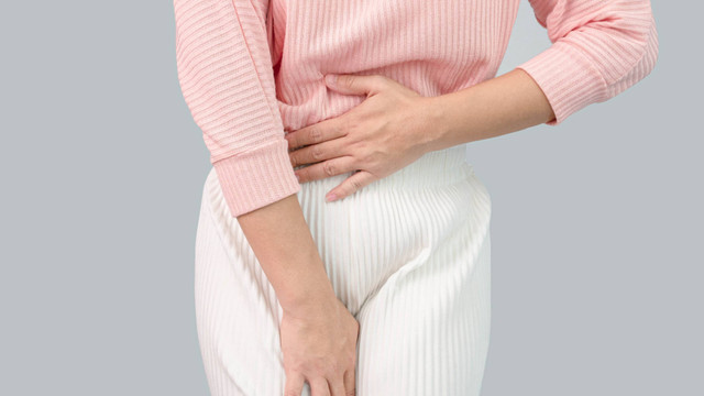  Ilustrasi vagina atau organ kewanitaan. Foto: T.Photo/Shutterstock