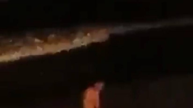 Screenshot video mesum yang beredar di jaringan wa - IST