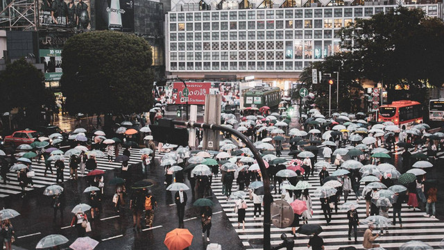 Ilustrasi Jepang. Foto: Unsplash