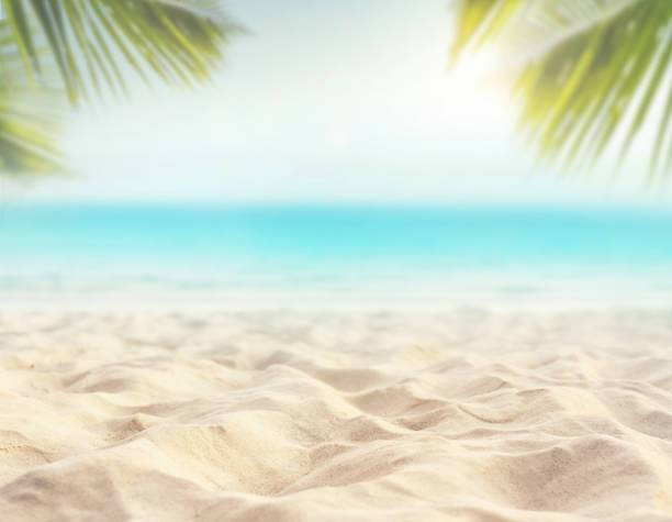 Pantai di Pacitan Apa Saja?, Foto: Unsplash.