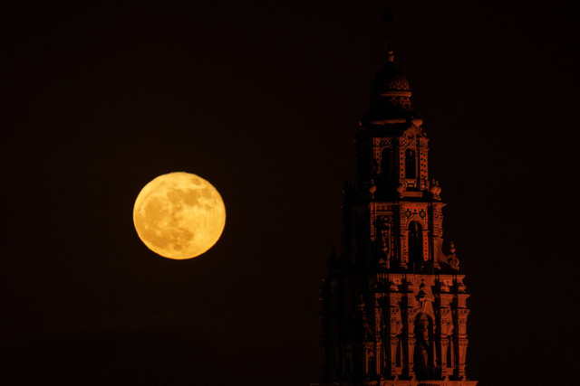 Bulan purnama yang dikenal bulan stroberi muncul di belakang Menara California di San Diego, California, AS, 14 Juni 2022. Foto: Mike Blake/REUTERS