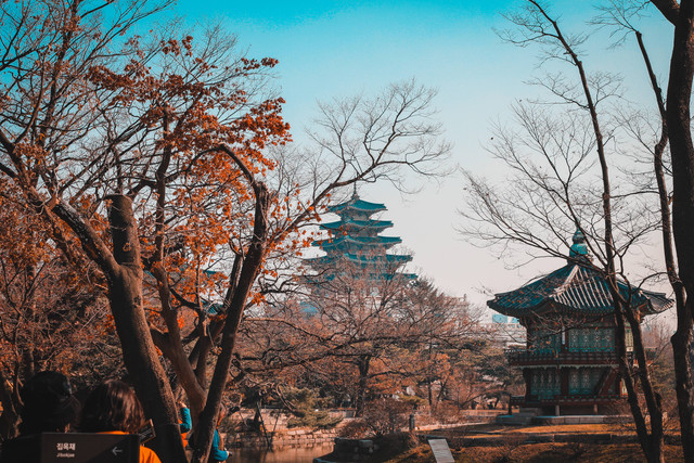 Oleh-Oleh Khas Korea Selatan untuk Kerabat, Foto: Unsplash/Louie Nicolo Nimor    