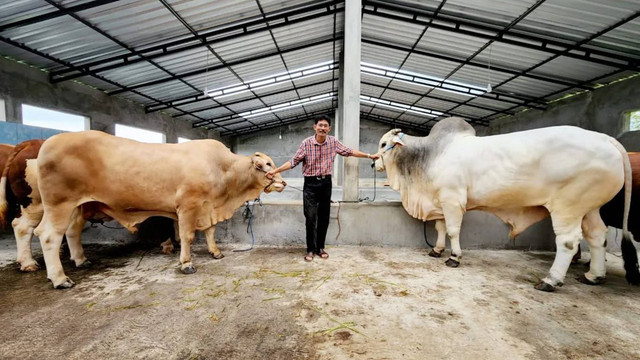 Ketua Umum Perhimpunan Peternak Sapi dan Kerbau Indonesia (PPSKI) Nanang Purus Subendro. Foto: Instagram.com/drhnanang