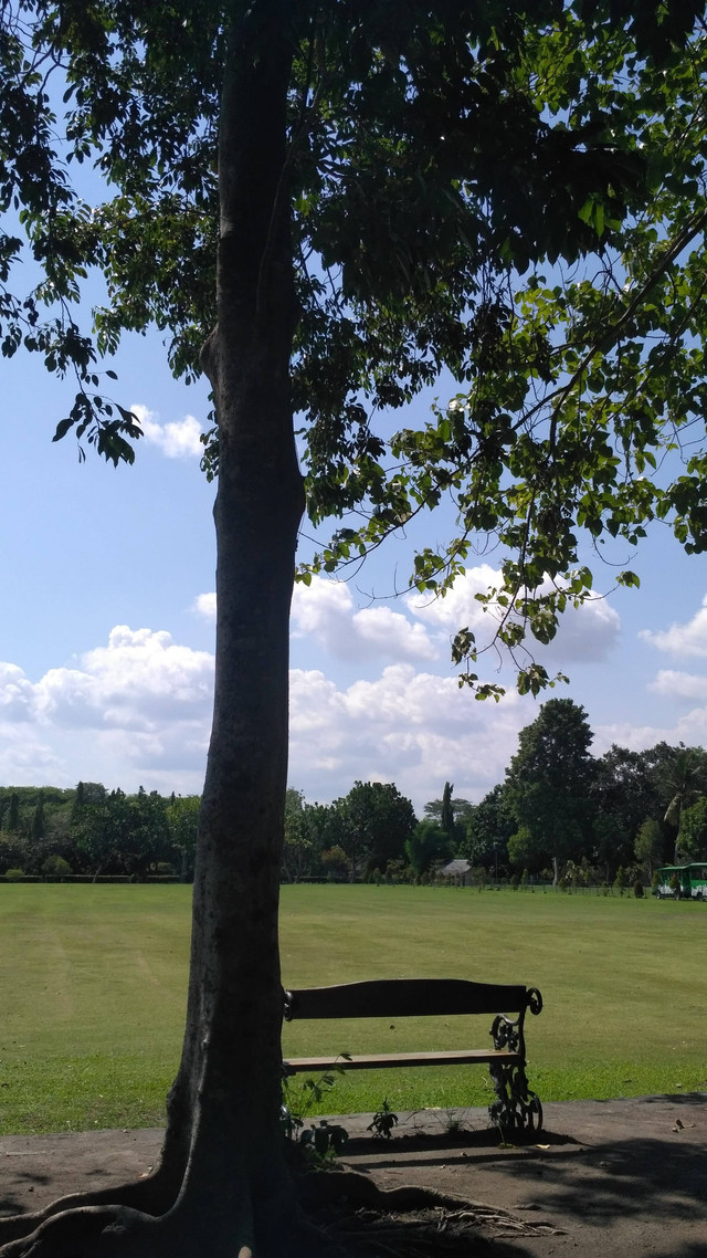 created by @lafadillah