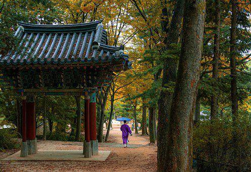 Ilustrasi tempat wisata di Korea Selatan. Foto: pixabay