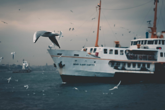 Harga tiket ferry batam ke bintan,	Foto oleh Levent Simsek/Pexels