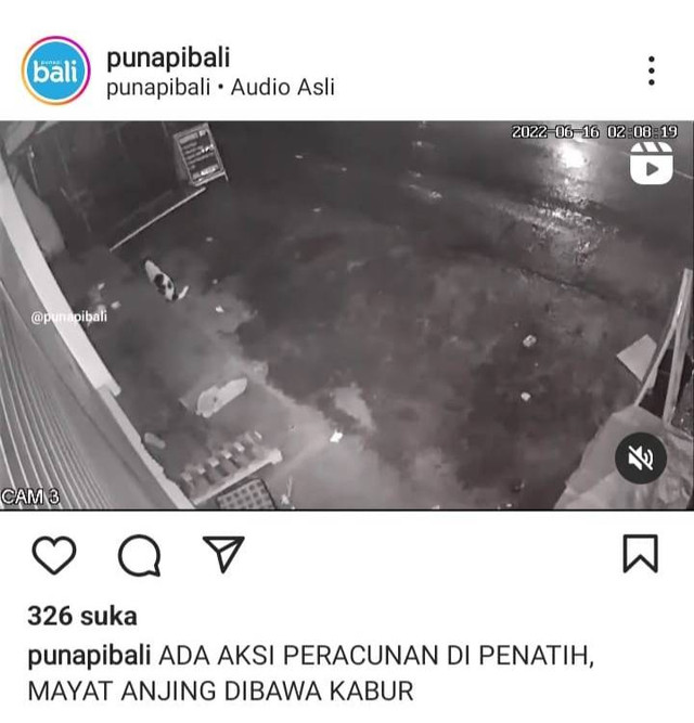 Viral di media sosial anjing yang diracuni - IST