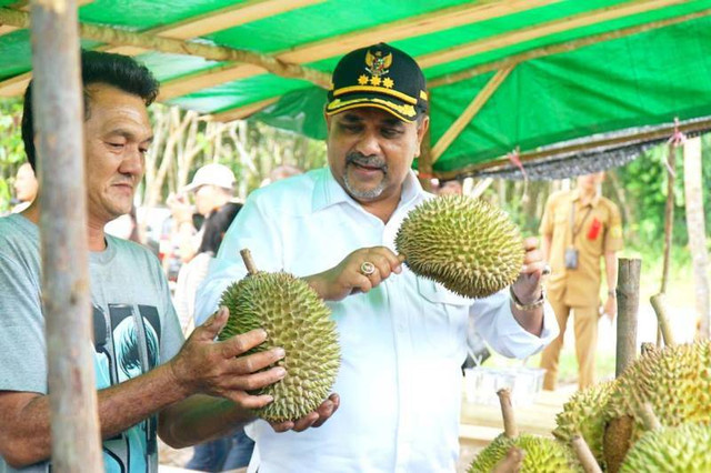 Bupati Karimun Aunur Rafiq hendak menjajal kelezatan durian Kundur. (Foto: ist)