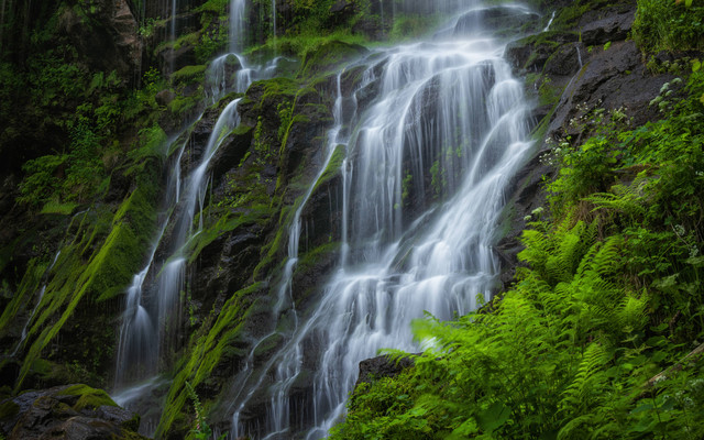 Harga Tiket Masuk Air Terjun Kembang Soka di Kulon Progo 2022, Foto: Unsplash/Claudio Testa