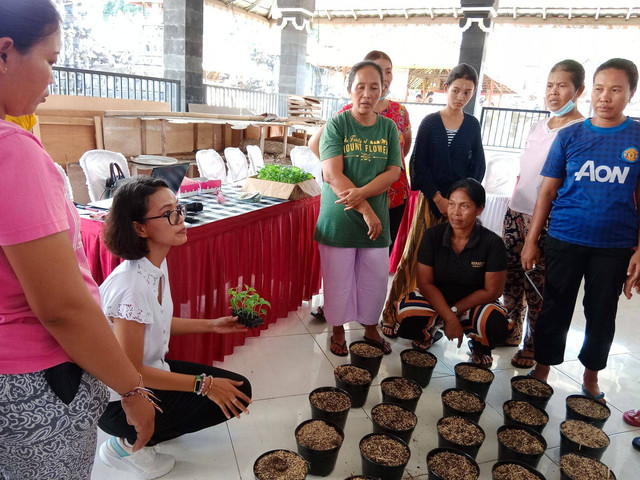  Pelatihan untuk  mewujudkan pekarangan pangan lestari Kelompok Wanita Tani Nampo Sari Desa Ulakan, Manggis, Karangasem, Bali - IST