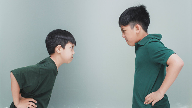 Ilustrasi anak bersaing dengan saudara kandungnya. Foto: Gatot Adri/Shutterstock