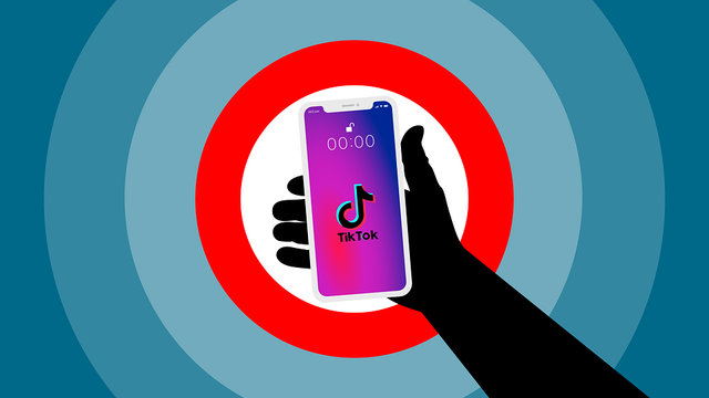 Ilustrasi algoritma video singkat tiktok. Foto: iXimus (pixabay.com)